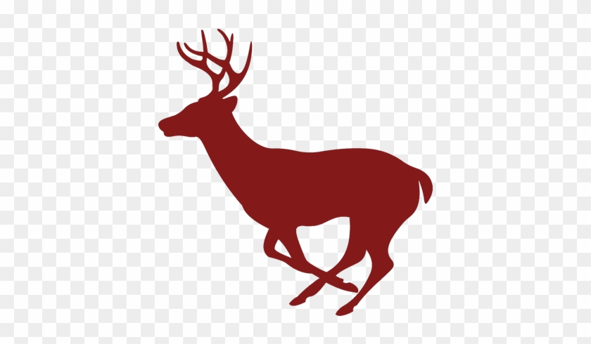 Wildlife & Deer Feed - Cuts Of Meat On Deer #756662