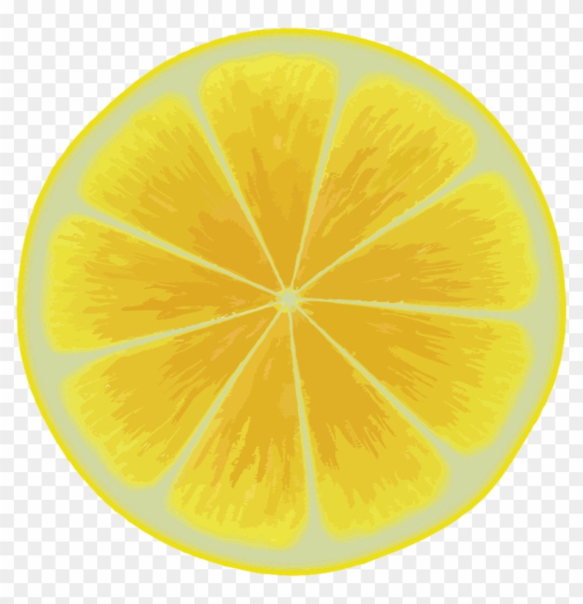 Medium Image - Lemon Slice #756688