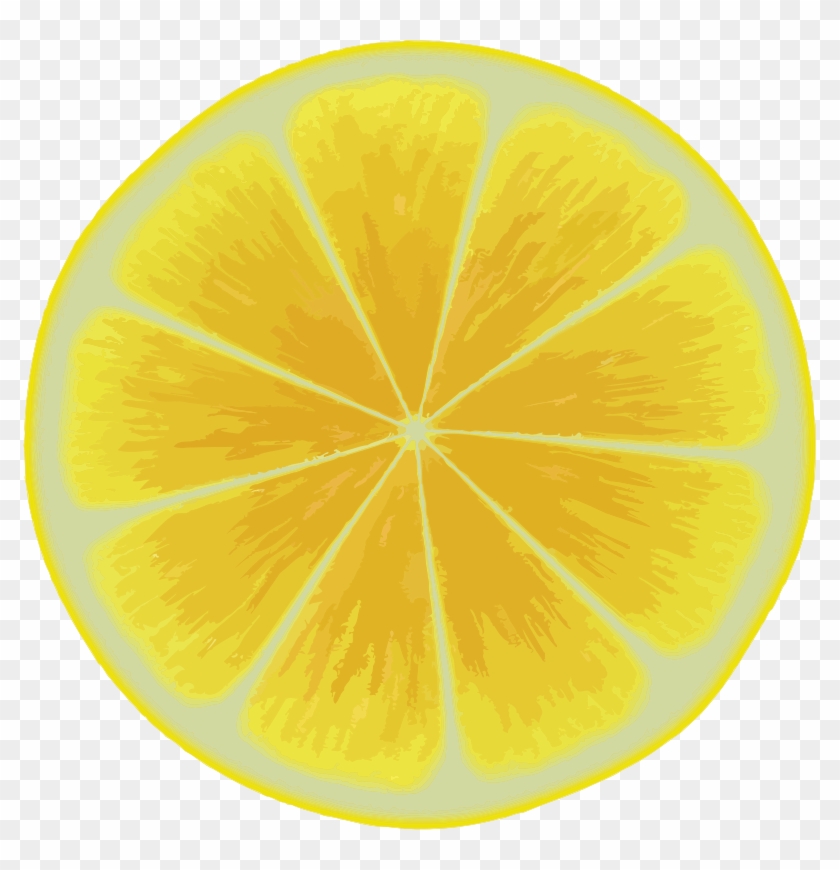 Medium Image - Lemon Slice #756688