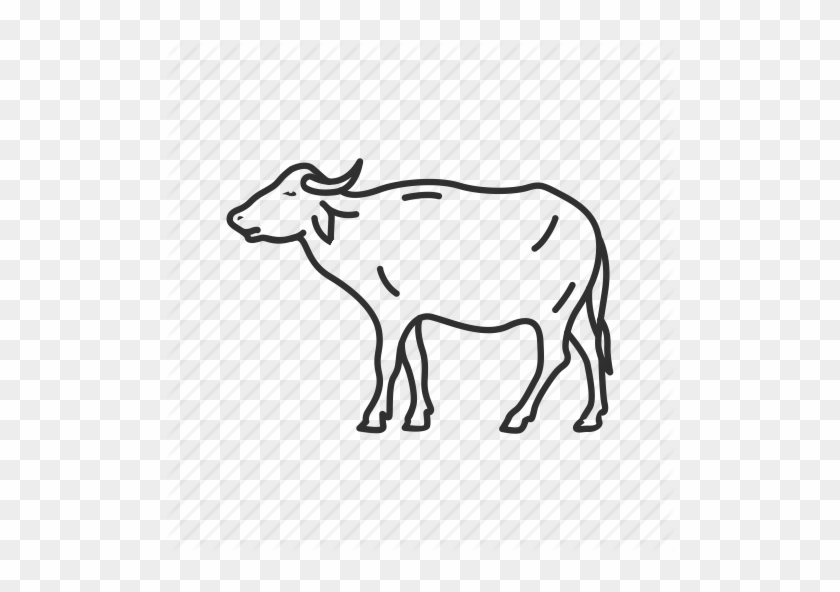 Drawn Cow Karabaw - Working Animal #756819