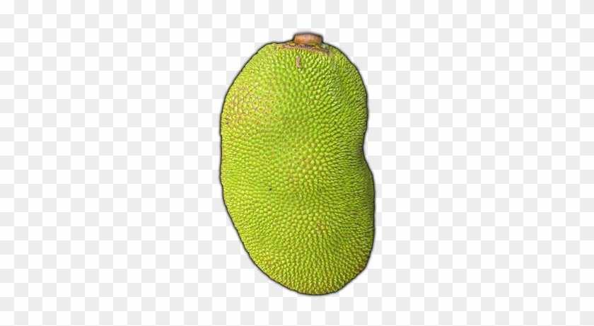 Clipart Jackfruit - - Cempedak #756883