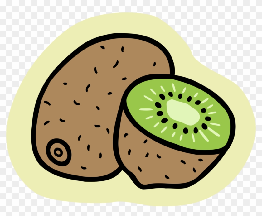 Vector Illustration Of Kiwifruit, Chinese Gooseberry - Kiwi #756927