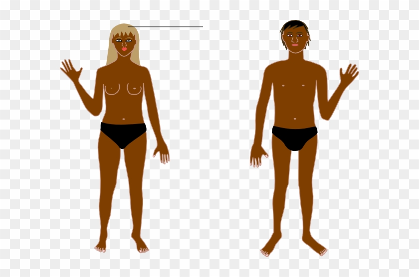 Human Body B Clip Art At Clker - Human Body #757028