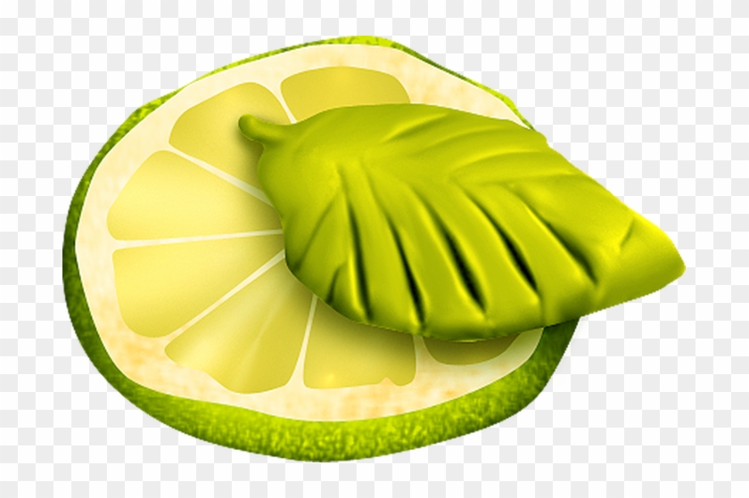 Kiwifruit Food Carambola Lime - Invertebrate #757035