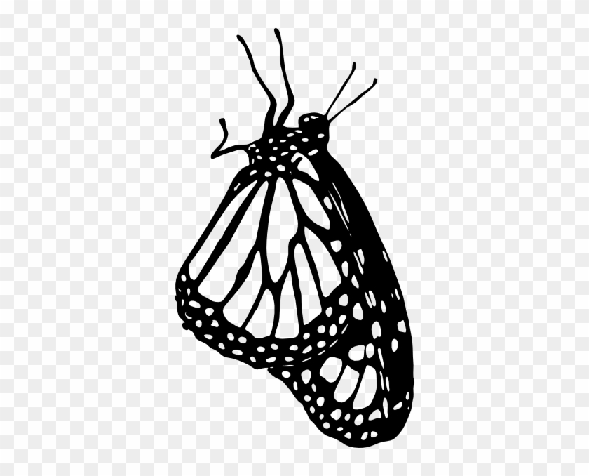 Pepperoni Clip Art Download - Monarch Butterfly Drawing Side #757184