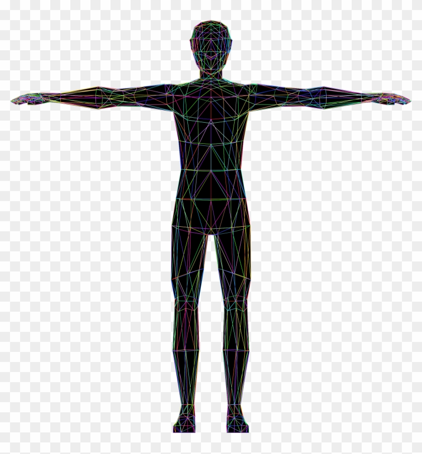 Vitruvian Man Human Body Homo Sapiens Drawing Clip - Vitruvian Man Human Body Homo Sapiens Drawing Clip #757327