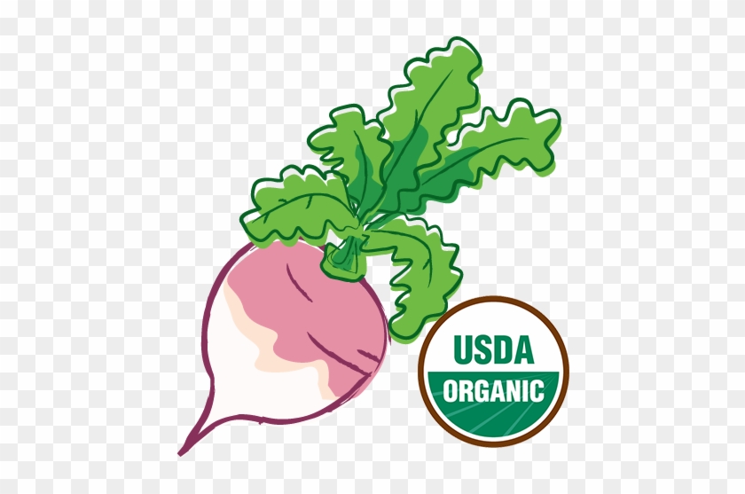 Organic-turnip - Health Ranger Select Freeze-dried Organic Whole Blueberries #757330