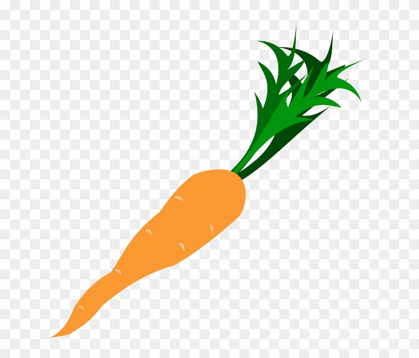 Veggie Carrot, Root, Vegetable, Vitamin, Salad, Veggie - Carrot Clipart Png #757340