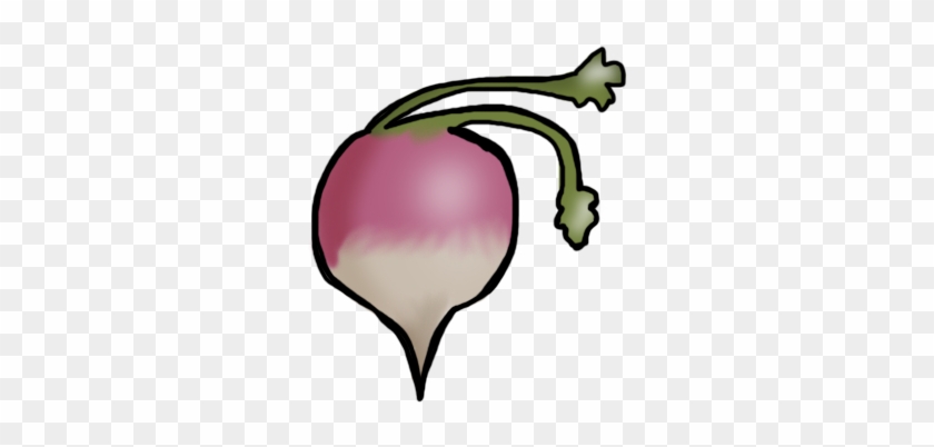 Turnip, This Is What A Turnip Looks Like I Think - Portable Network Graphics #757385