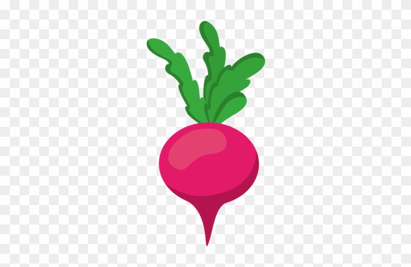 Turnip - Vegetable #757387
