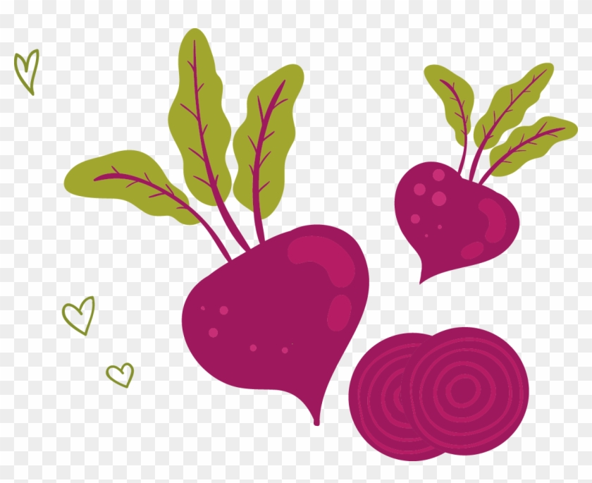 U852cu83dcu7f8eu98df Vegetable Radish Illustration - 手繪 蔬果 #757397