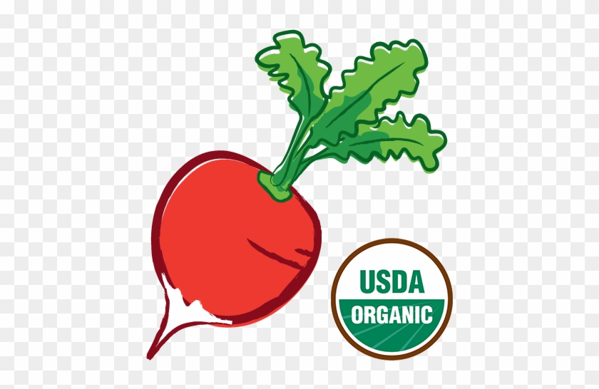 Organic-radish - Usda Organic #757406