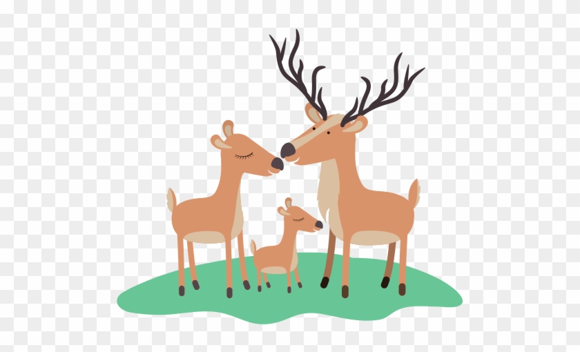 Cartoon Deer Couple And Calf Over Grass In Colorful - Vector Graphics #757513