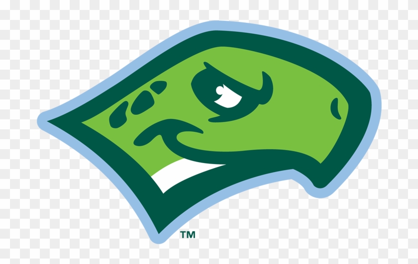 Head Fc - Daytona Tortugas Logo #757556