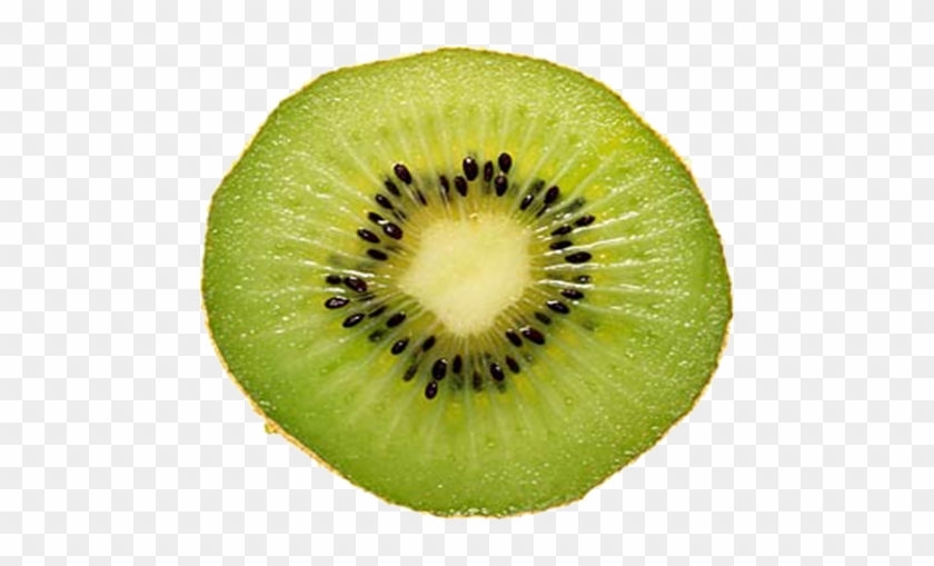 Fluorescent In Situ Hybridisation , Researchers Have - Kiwi Tranche #757628