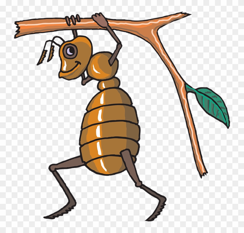 Grasshopper Cartoon 14, Buy Clip Art - Free Vector Bee #757745
