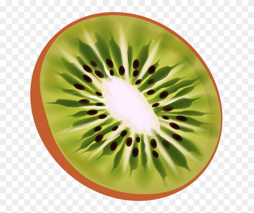 Free Image On Pixabay - Kiwi Fruit Animated #758242