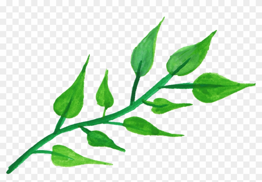 Free Download - Stem With Leaves Png #758257