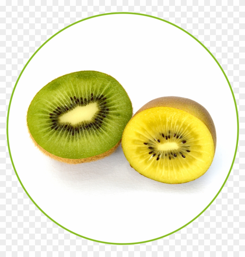 Kiwifruit #758309