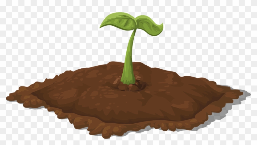 Cute Soil Cliparts 6, Buy Clip Art - Seedling Clipart Png #758332