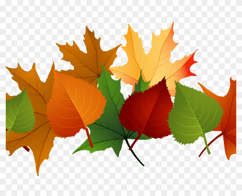 Exciting Clip Art Of Fall Leaves - Exciting Clip Art Of Fall Leaves #758340