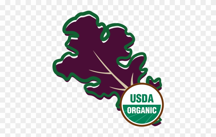 Organic Lettuce Red Oak - Usda Organic #758374