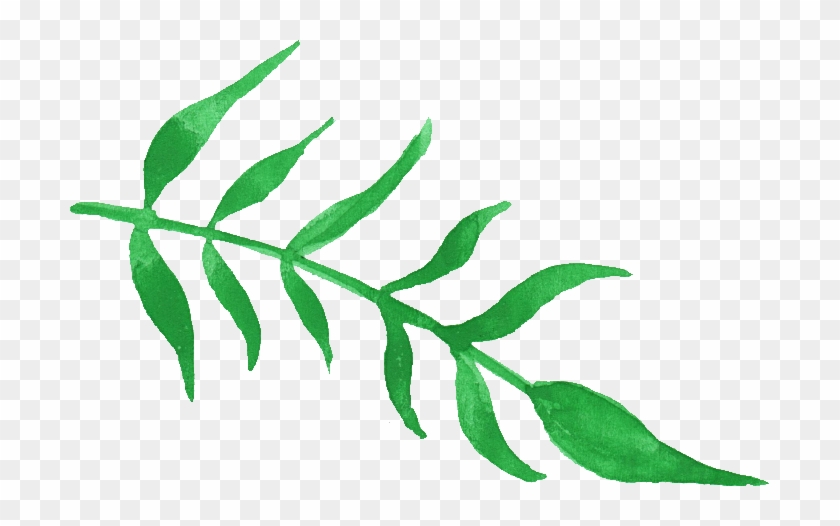 Free Download - Green Watercolor Plant Png #758411
