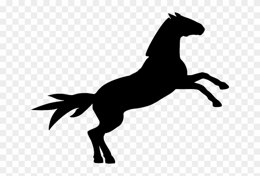 Black Horse, Silhouette, Animal, Black - Custom Black Horse Silhouette Shower Curtain #758426