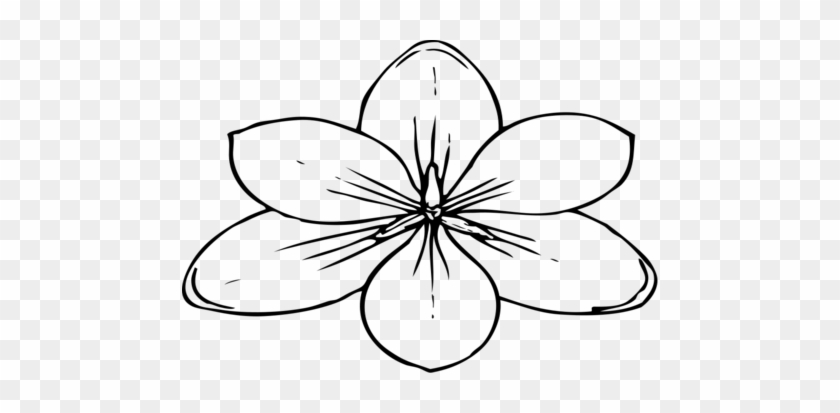 Printable Flower Stem Clip Art And Leaves Jos Gandos - Flower Top View Drawing #758458