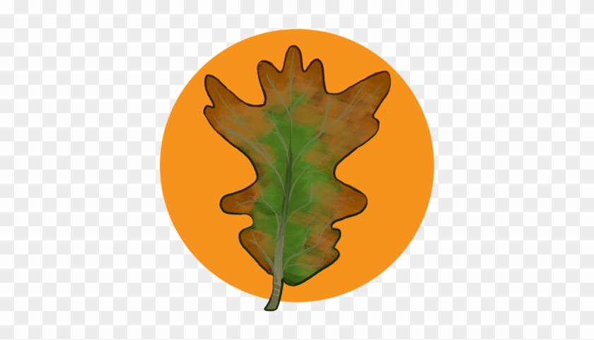 Oak - Illustration #758470