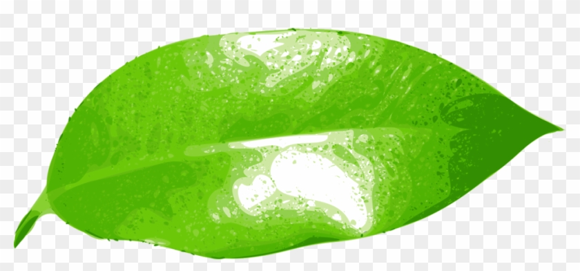 Green Leaf Clipart 9, Buy Clip Art - Hoja De Naranja Png #758504
