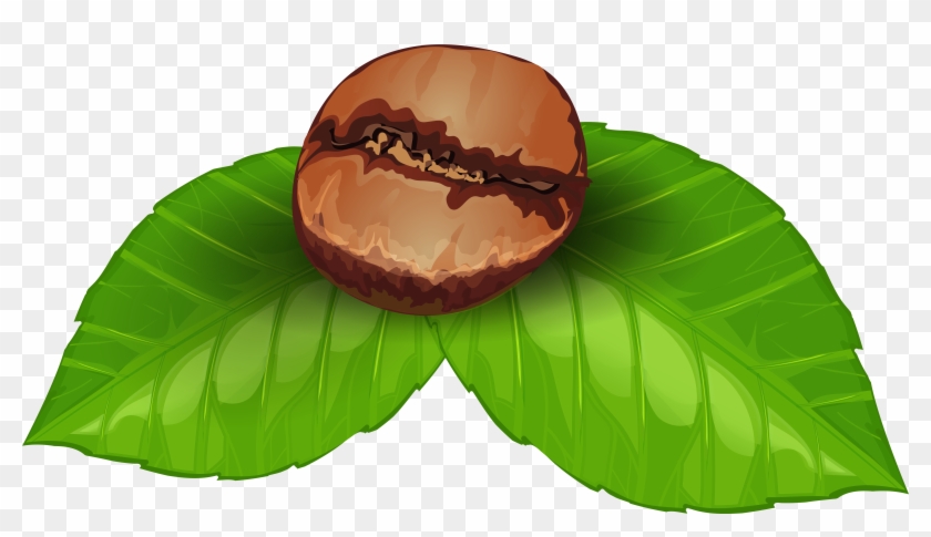 Coffee Bean Png Clipart Image - Coffee Bean Clipart #758560