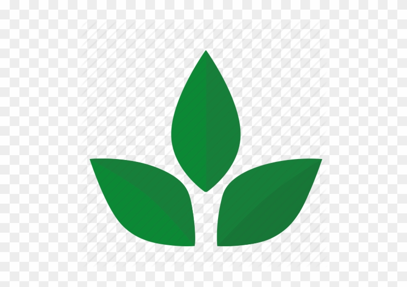 Green Leaf Icon - Herbal Tea #758578