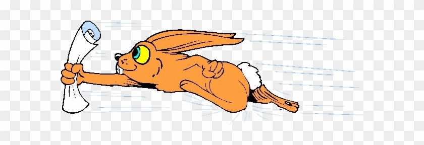 Hare Cartoon Rabbit Illustration - Hare Cartoon Rabbit Illustration #758829