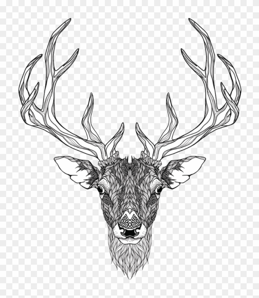 Deer - Elepawl Led Tracing Light Box Board Art Tattoo A4 Drawing #758818