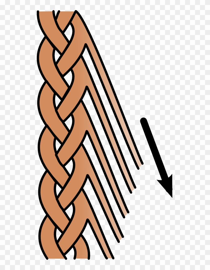 Feathered Braid Graphic - Braid Graphic #758872