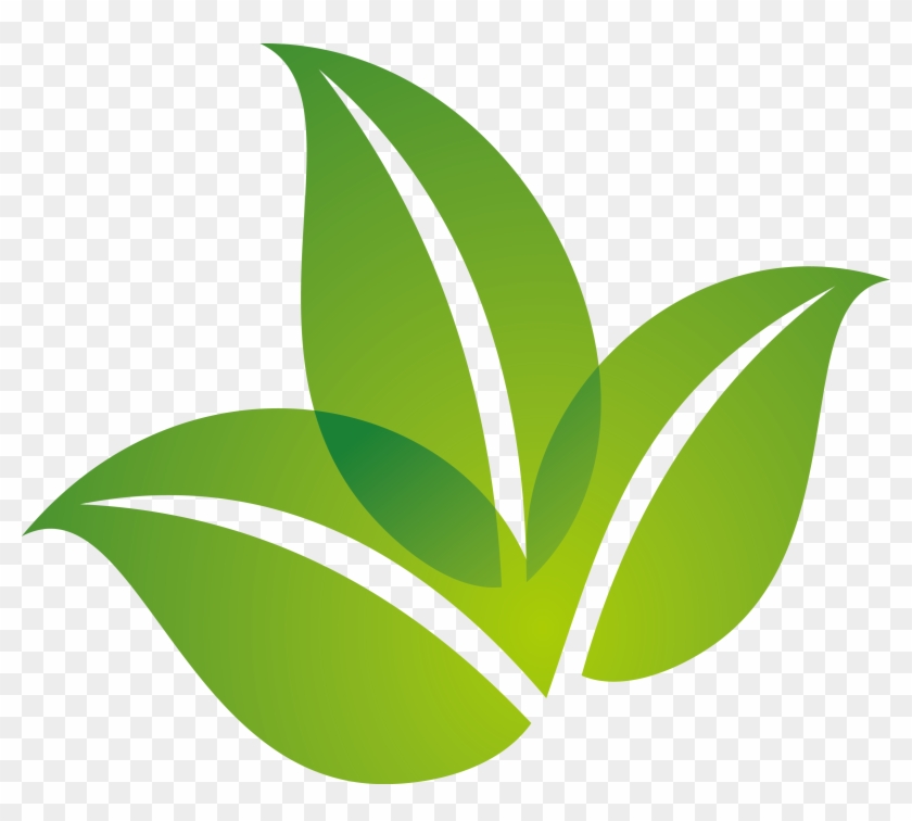 Spring Green Leaf Logo Design - Hojas Verdes Vector Png #758908