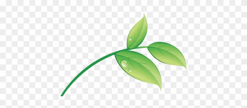 8 Images Of Eco Leaf Logo - Go Green Leaf Png #758925
