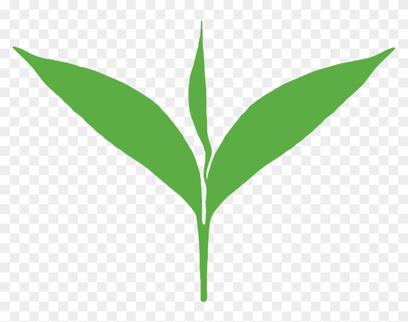 The Coffee Bean and Tea Leaf Logo Vector - (.SVG + .PNG) -  LogoVectorSeek.Com