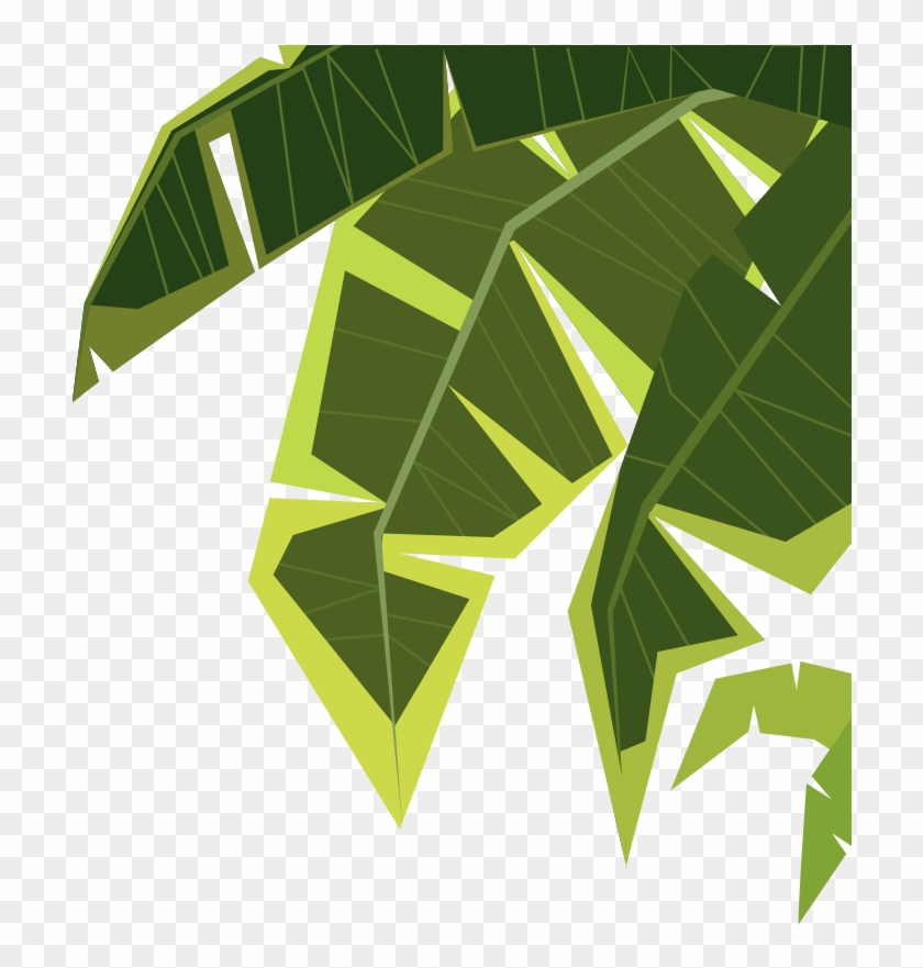 Green Palm Leaves - Illustration #759008