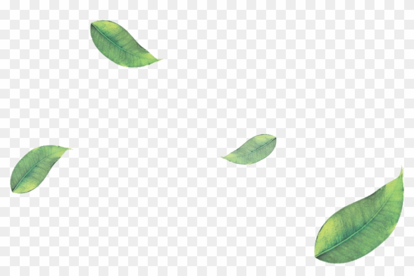 Png Green Leaves Leaf Png Image - Falling Green Leaves Png #759010