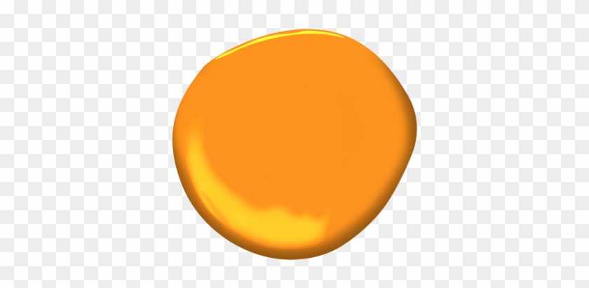 Sharp Cheddar - Circle #759015