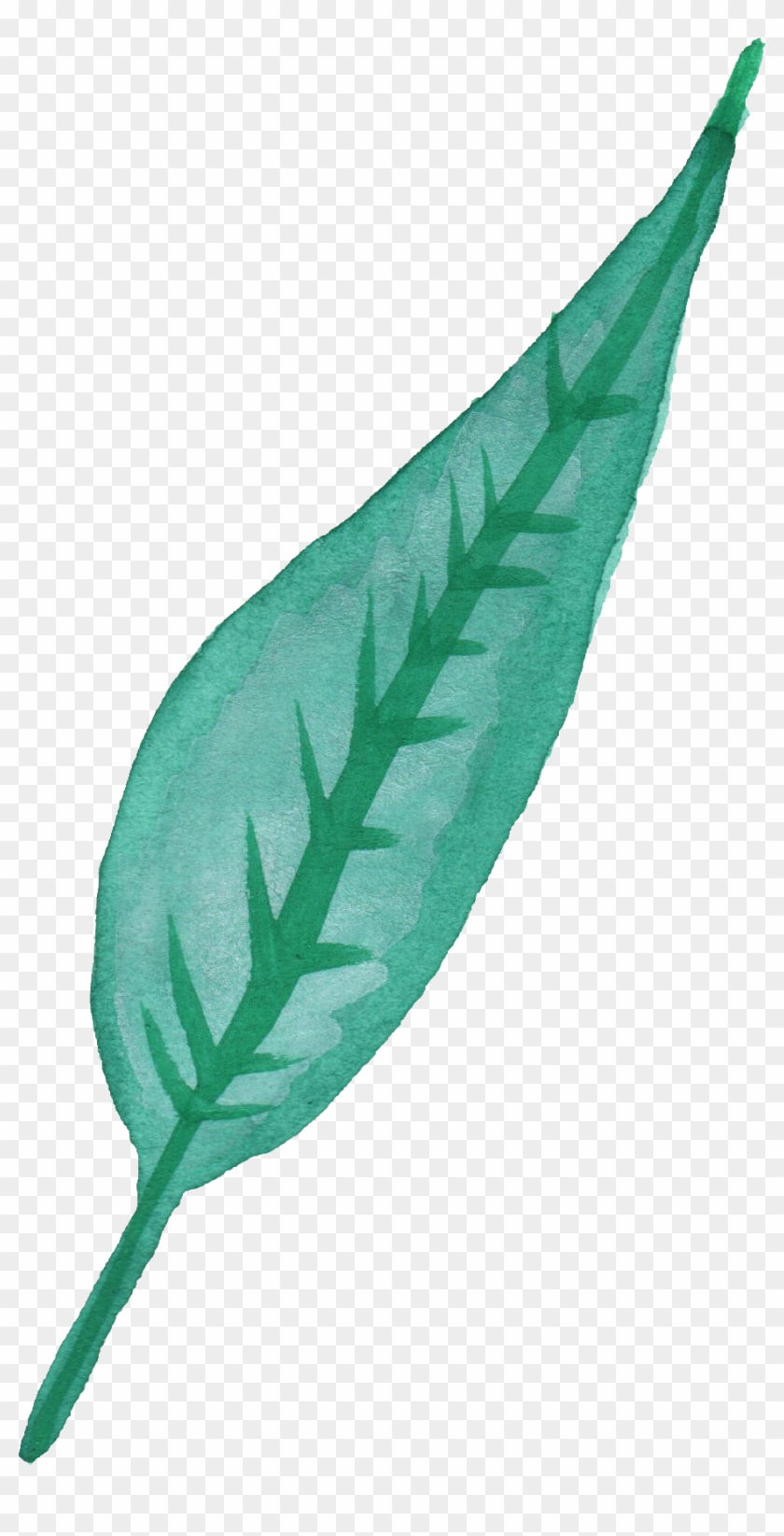 25 Watercolor - Watercolor Of A Leaf Transparent #759122