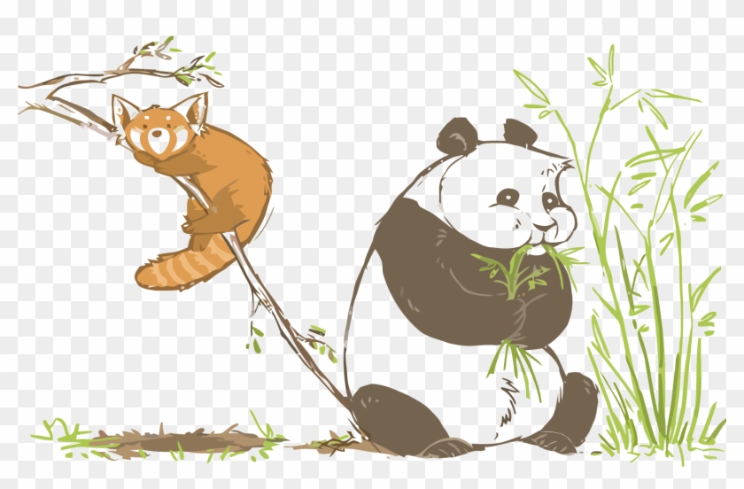 Bear Giant Panda Red Panda Illustration - Giant Panda #759125