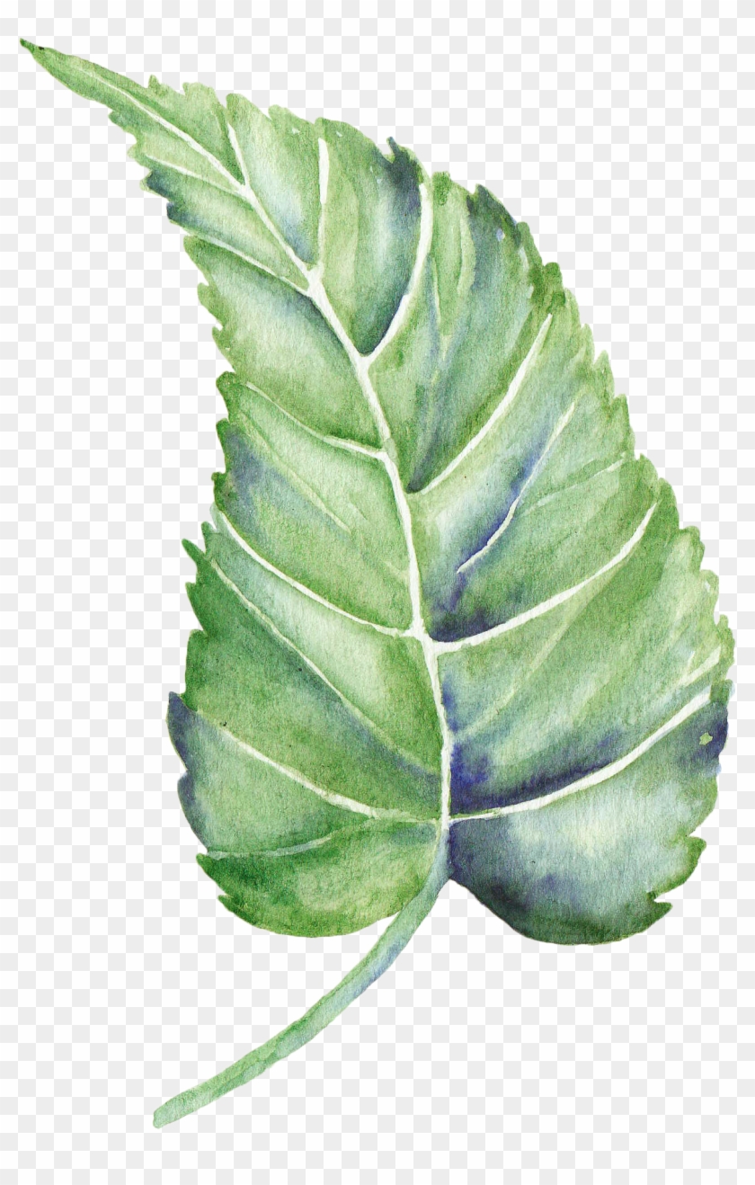 Leaf Watercolor Painting Shape - Leaf #759130