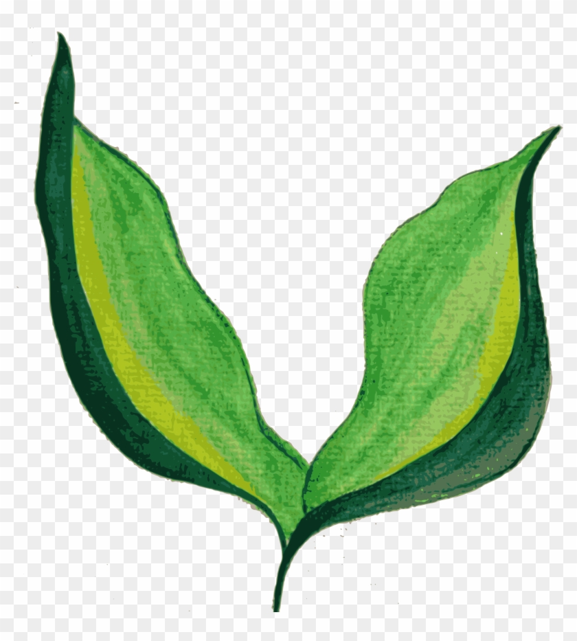 Leaves , Background-devoid - Painted Leaves Png #759137