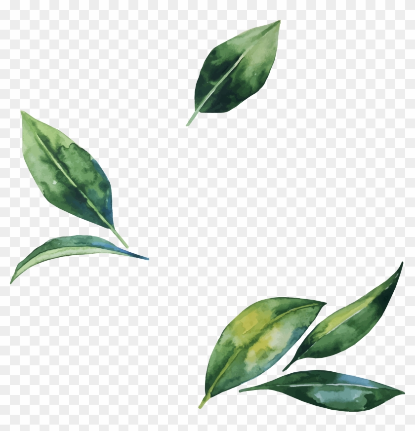 Leaf Flower Illustration - Watercolor Leaves Leaf Illust Png #759142