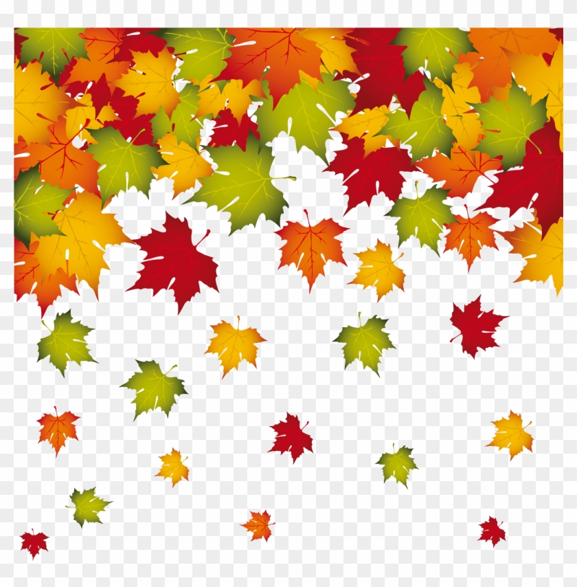 autumn leaves border png leaves falling transparent png free