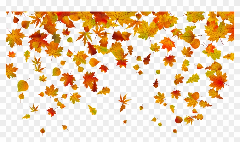 Beautiful Falling Leaves Clipart Fall Leaves Border - Falling Leaves Clipart Png #759150