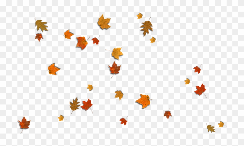 Fall Leaves Corner Border Png Download - Illustration #759168